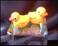 Rubber Ducks