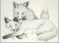 Foxes